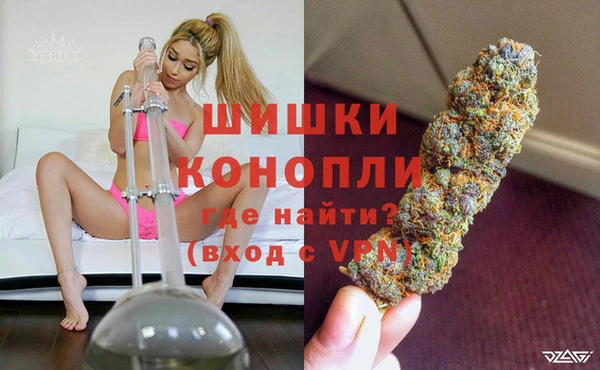 стафф Богородицк
