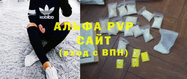 стафф Богородицк