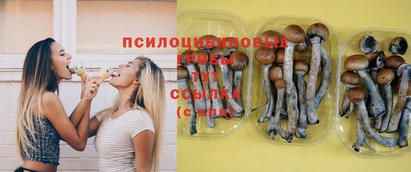 трава Богданович