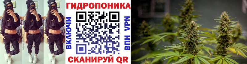 продажа наркотиков  Дагестанские Огни  МАРИХУАНА индика 
